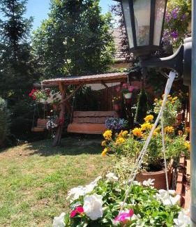 Ciugud Casa | Casuta cu Brazi