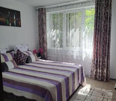 Campina Apartamento | Casuta cu povesti