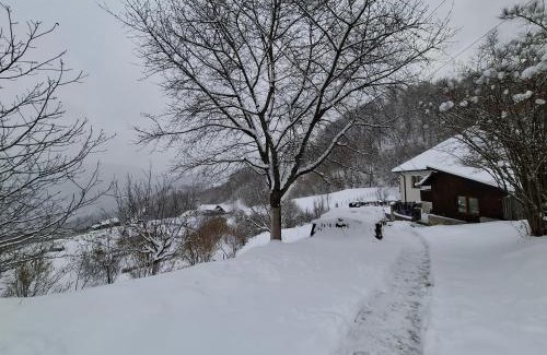 Lopatari Casa | Casuta de sub munte