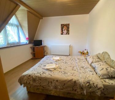 Busteni Casa | Casuta Mica