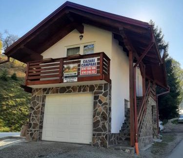Borsa Apartamento | Casuta Pietrosul Rodnei
