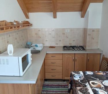 Borsa Apartamento | Casuta Pietrosul Rodnei