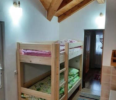 Borsa Apartamento | Casuta Pietrosul Rodnei