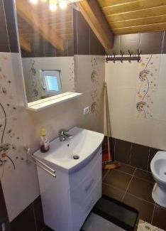 Borsa Apartamento | Casuta Pietrosul Rodnei