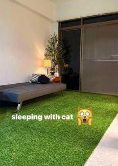 Hat Yai Otro | Cat Hotel Hatyai by Krissana Mansion cat only