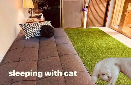 Hat Yai Otro | Cat Hotel Hatyai by Krissana Mansion cat only