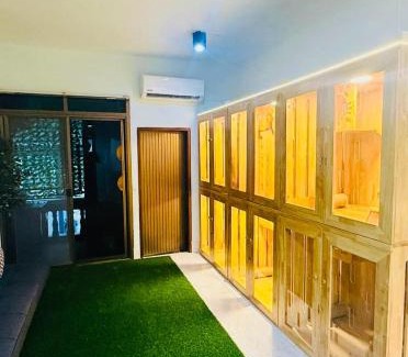 Hat Yai Otro | Cat Hotel Hatyai by Krissana Mansion cat only
