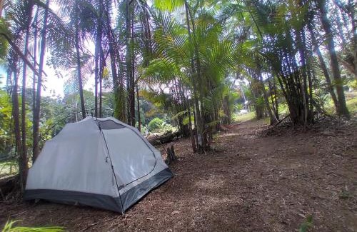 Presidente Figueiredo Otro | CATEDRAL THE ROCK CAMPING