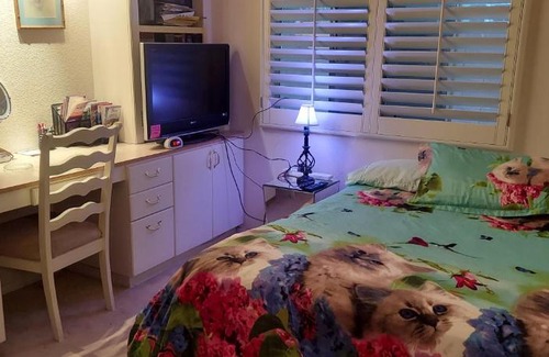 Paradise Casa | CATmosphere 2