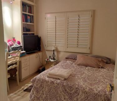 Paradise Casa | CATmosphere 2
