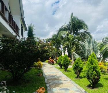 Quimbaya Casa | Cattleya tropical