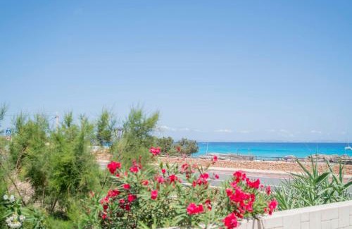 Es Calo Apartamento | Cavall de Llevant - Formentera Break