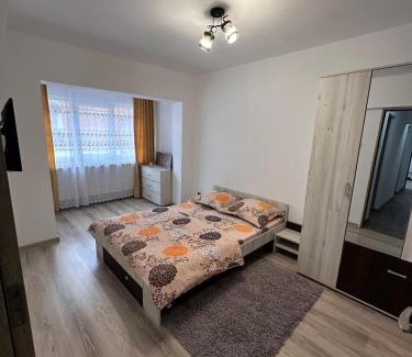 Baile Herculane Apartamento | Cazare Herculane
