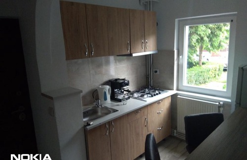 Emanoil Gojdu Apartamento | Cazare