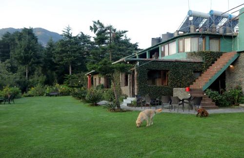 Ramgarh Cabina | Cedar Lodge By Aahma