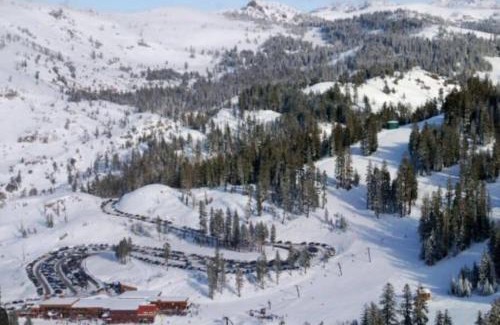 Dorrington Casa | Cedar Oasis - Pet Friendly Cabin w Fireplace, Games and Wifi - 5 min to Big Trees