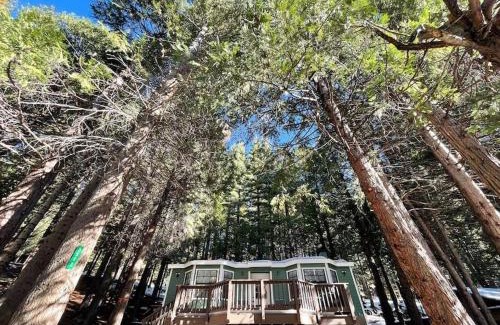 Dorrington Casa | Cedar Oasis - Pet Friendly Cabin w Fireplace, Games and Wifi - 5 min to Big Trees