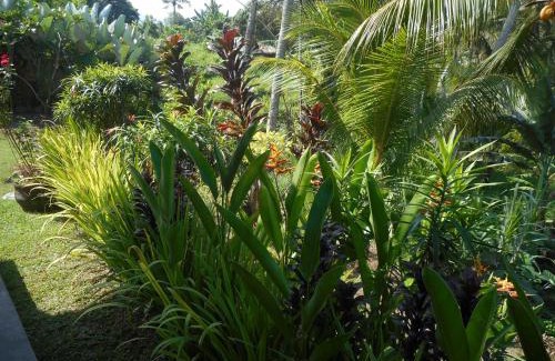 Sidemen Casa | Cegeng Lestari Guesthouse