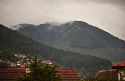 Gura Raului Casa | Cekan Family Guest House