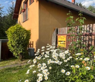 Janov Apartamento | Celý dům FLORA v Českosaském Švýcarsku
