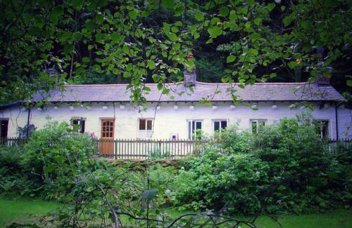 Nant Gwynant Casa | CELYN - SNOWDONIA COTTAGE