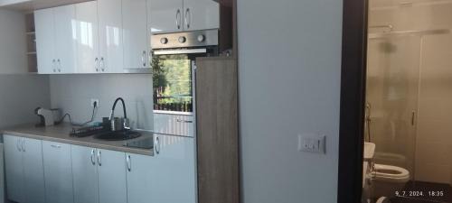 Vrnjacka Banja Apartamento | CENTAR CEPERKOVIC