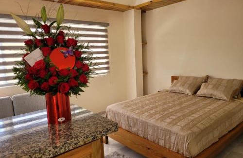 Constanza Apartamento | Center Point Mono ambiente en Constanza