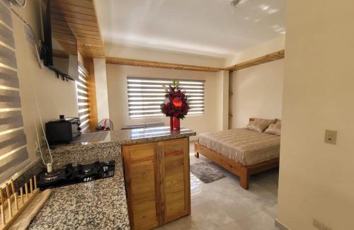 Constanza Apartamento | Center Point Mono ambiente en Constanza