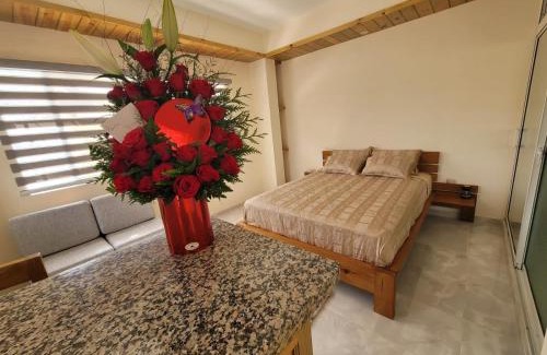 Constanza Apartamento | Center Point Mono ambiente en Constanza