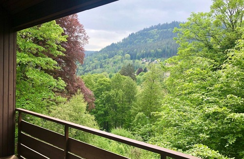 Bad Wildbad Apartamento | Central 2-room "mountain apartment"