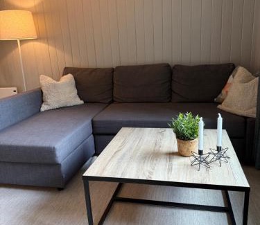 Notodden Apartamento | Central apartment