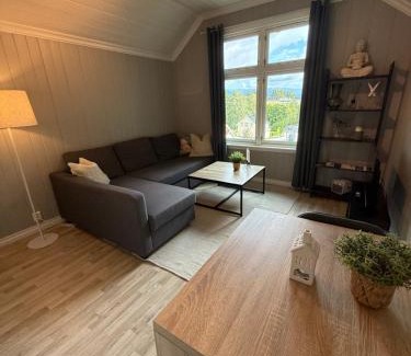 Notodden Apartamento | Central apartment