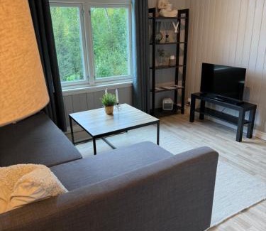 Notodden Apartamento | Central apartment