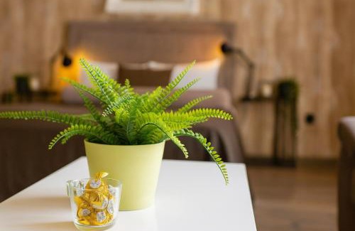 Savamala Apartamento | Central Belgrade Apartments LUX
