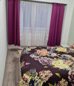 Sighetu Marmatiei Apartamento | Central Flat