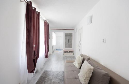 Sighisoara Apartamento | Central House