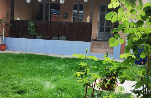 Tulcea Casa | Central house