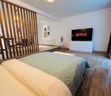Targoviste Apartamento | Central Loft Studio Târgoviște