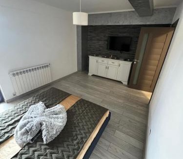Tulcea Apartamento | Central Luxury Apartament