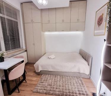Mirow Apartamento | Central Park Krochmalna Atelier, Rondo ONZ Metro