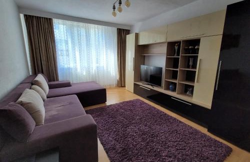 Piatra Neamt Apartamento | Central Residence