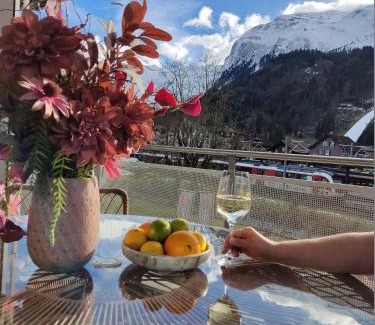 Engelberg Apartamento | Central Serviced Apartment