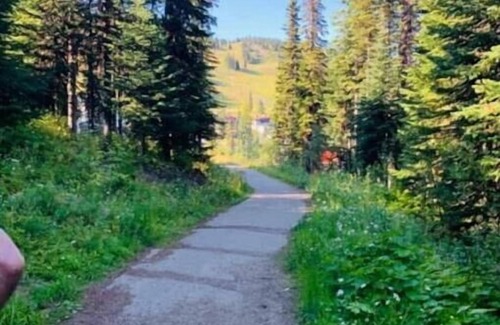 Silver Star Mountain Chalet De Esquí | Central Station - perfectly located for Winter games and Summer fun.