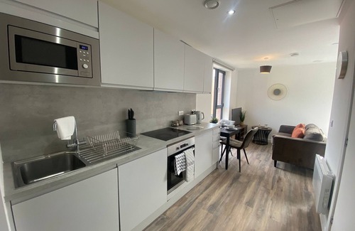 Sheffield Apartamento | Apartamento-Premium-Baño con ducha-Vista a la Ciudad
