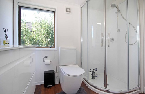 Royal Oak Casa | Central Studio Summar