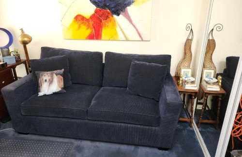 North of the Panhandle Casa | Centrally located; Walk anywhere!