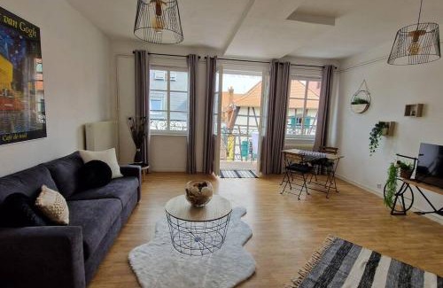 Saverne Apartamento | Centre historique de Saverne, bel appartement de 65 m2, Hyper Centre zone piétonne, Parking gratuit à proximité