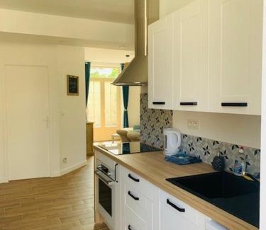 La Fleche Apartamento | Centre ville (1) : superbe appartement climatisé