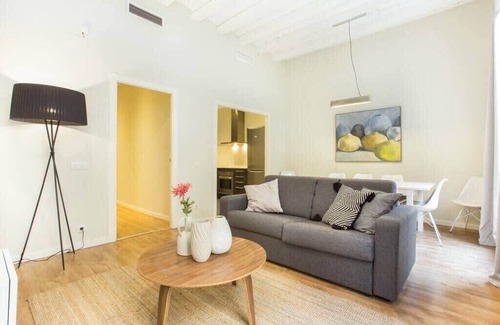 El Raval Apartamento | Centric 4bedroom with terrace in Las Ramblas