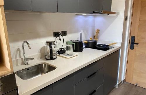 Concepcion Apartamento | Centrico Depto Climatizado